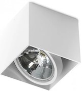 Spot aplicat directionabil de tavan/plafon ALEX alb ZZ AZ1359