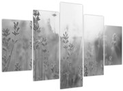 Tablou - Lavanda (150x105 cm)