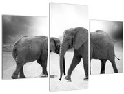 Tablou cu elefanți (90x60 cm)
