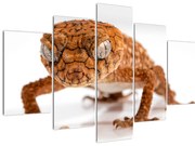 Tablou cu șopârlă (150x105 cm)