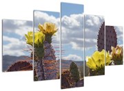 Tablou cu floarea de cactus Opunție (150x105 cm)