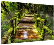 Tablou cu scări într-o pădure tropicală (90x60 cm)