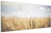 Tablou cu grâne (120x50 cm)