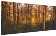 Tablou - Pădurea toamna (120x50 cm)
