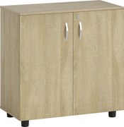 Vinsetto Dulap pentru documente cu încuietoare, 2 uși și raft intern, 80x40x80 cm, culoare stejar | Aosom Romania