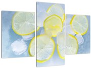 Tablou cu lămâie în gheață (90x60 cm)
