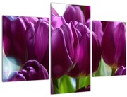 Tablou cu lalele (90x60 cm)