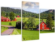 Tabloul cu țară (90x60 cm)