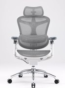Scaun Ergonomic SIHOO Doro C300 Pro M102, Suport Lombar Adaptiv Inteligent, Spătar Reglabil pe Înălțime, Tetieră 3D, Cotiere 6D PU, Șezut Glisant, Reclinare 135°, Mesh, Gri