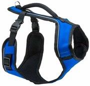PetSafe Hamă EasySport albastru L