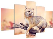 Tablou - Vulpea (150x105 cm)