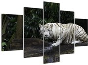 Tablou - Tigru alb (150x105 cm)