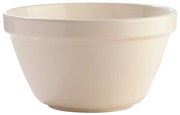 Bol alb din gresie ø 22 cm Original White – Mason Cash