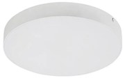 Plafonieră LED/24W/230V 3000-6000K IP44 albă Rabalux