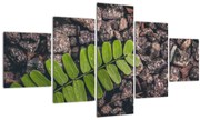 Tablou  cu planta verde (125x70 cm), în 40 de alte dimensiuni noi