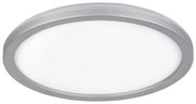 Rabalux 3358 - Plafonieră pentru baie LAMBERT LED/15W/230V IP44