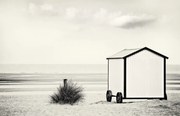 Fotografie End of season, Gilbert Claes