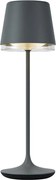 Lampă de masă gri închis, incl. LED IP65 reîncărcabilă cu stație de încărcare - Bass