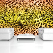 Fototapet - Gepard leopard animal (152,5x104 cm), în 8 de alte dimensiuni noi