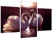 Tablou - Lebede pe lac (90x60 cm)