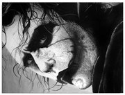 Tablou pe pânză Joker, 40 x 30 cm