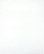 vidaXL Cearșaf de pat cu elastic, 2 buc., alb, 160x200 cm, bumbac