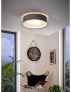 Eglo 31623 - Plafonieră LED MASERLO, 16W, 230V, Ø 40,5 cm, gri/argintiu