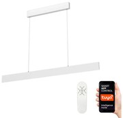 Lustră LED pe cablu dimabilă LISTON LED/18W/230V Immax NEO 07075L + telecomandă Tuya