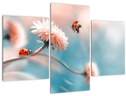 Tablou - Buburuze pe floare (90x60 cm)
