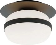 Plafonieră PALMA 1xE27/40W/230V neagră