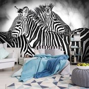 Fototapet - Zebra (152,5x104 cm), în 8 de alte dimensiuni noi