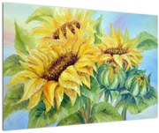 Tablou - Floarea soarelui înflorită (90x60 cm)