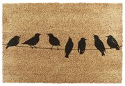 Covoraș de intrare din fibre de nucă de cocos 40x60 cm Birds On a Wire – Artsy Doormats