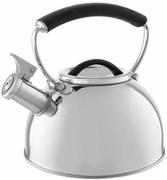 Ceainic Florina Asta, 2,3 l