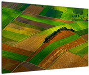 Tablou - Lan, luncile (90x60 cm)