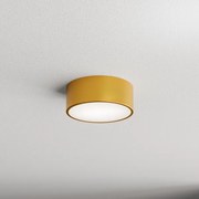 Plafonieră pentru baie CLEO 1xE27/24W/230V d. 20 cm auriu IP54