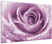 Tablou detaliu de floare de trandafir (90x60 cm)