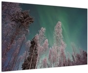 Tablou cu aurora borealis deasupra pomilor înghețați (90x60 cm)