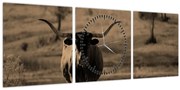 Tablou - Vacă din Texas (cu ceas) (90x30 cm)