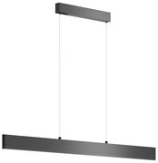 Lustră LED pe cablu Maytoni P010PL-L30B4K STEP LED/30W/230V 4000K 118,5 cm negru