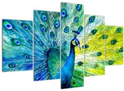 Tablou - Păun (150x105 cm)