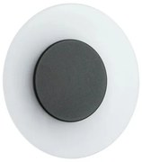 Aplică de exterior Paulmann 94409 LED/4W IP44 CIRCEA 230V