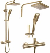 Baterie dus Tom auriu periat