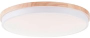 Plafonieră LED dimabilă Brilliant BAARLO LED/36W/230V d. 50 cm alb + telecomandă