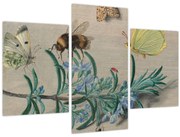 Tablou - Jan van Kessel the Elder, Insects and a Sprig of Rosemary, reproducere (90x60 cm)