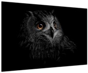 Tablou - Bufniță, ilustrație (90x60 cm)