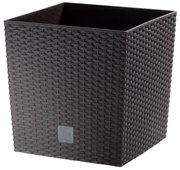 Recipient ghiveci Rato Low, maro închis, 17 x 17 cm, S