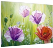 Tablou pe sticlă - Maci (70x50 cm)