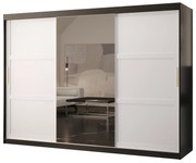 Dulap de haine Riven 2 250 (negru mat + alb mat) (cu oglindă). 1064187