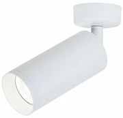 Spot directionabil aplicat de tavan/plafon Focus MYC017CW-01W